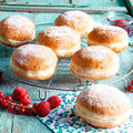 SG-Raspberry-Currant Doughnut - 2